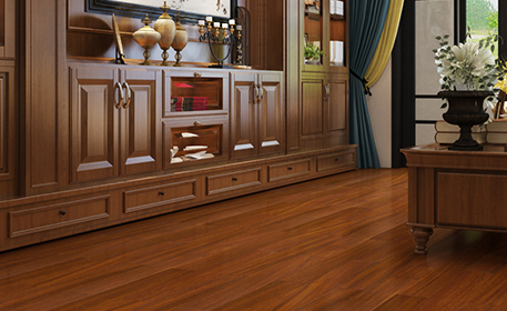 圓盤豆9.png 圓盤豆9.png