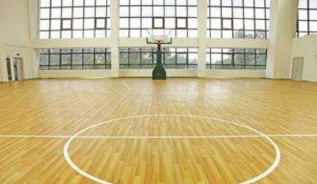 運(yùn)動(dòng)地板1.png 運(yùn)動(dòng)地板1.png