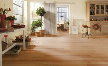 白蠟木4.png 白蠟木4.png