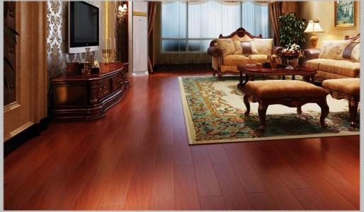 圓盤豆1.jpg 圓盤豆1.jpg