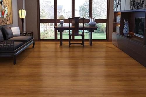 圓盤豆2.jpg 圓盤豆2.jpg