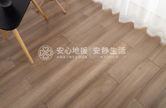 圓盤豆2.png 圓盤豆2.png