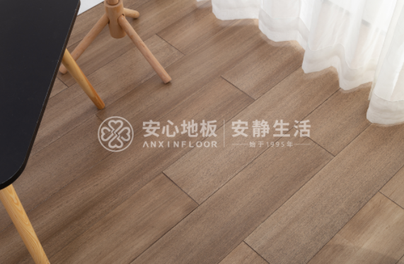 圓盤豆4.png 圓盤豆4.png