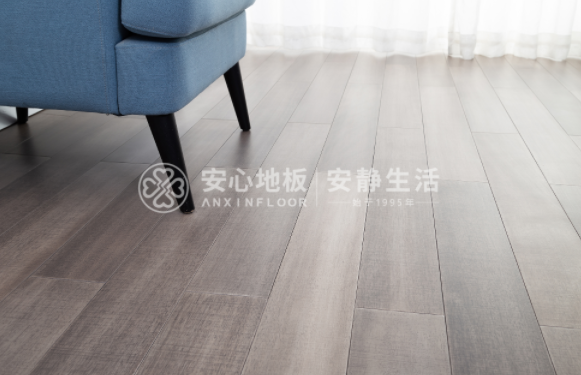 圓盤(pán)豆1.png 圓盤(pán)豆1.png