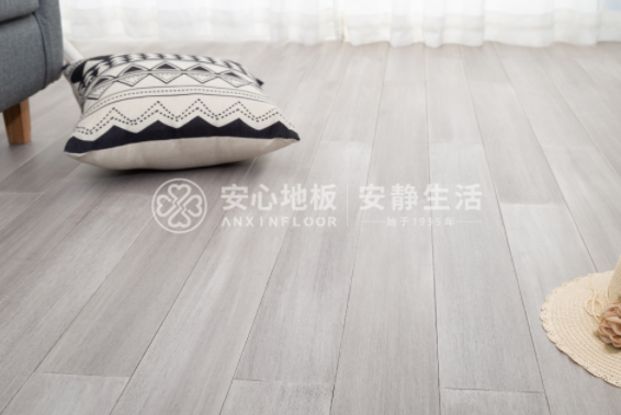 圓盤豆7.png 圓盤豆7.png