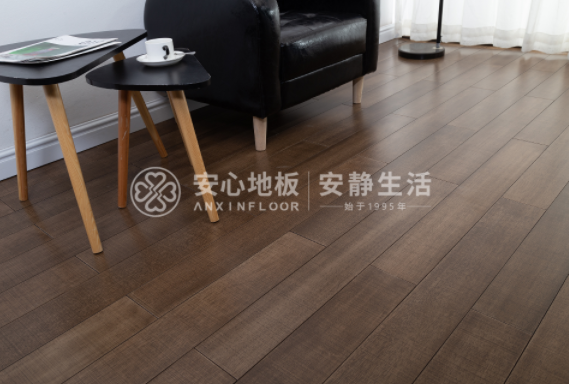 圓盤豆5.png 圓盤豆5.png